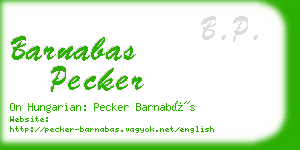 barnabas pecker business card